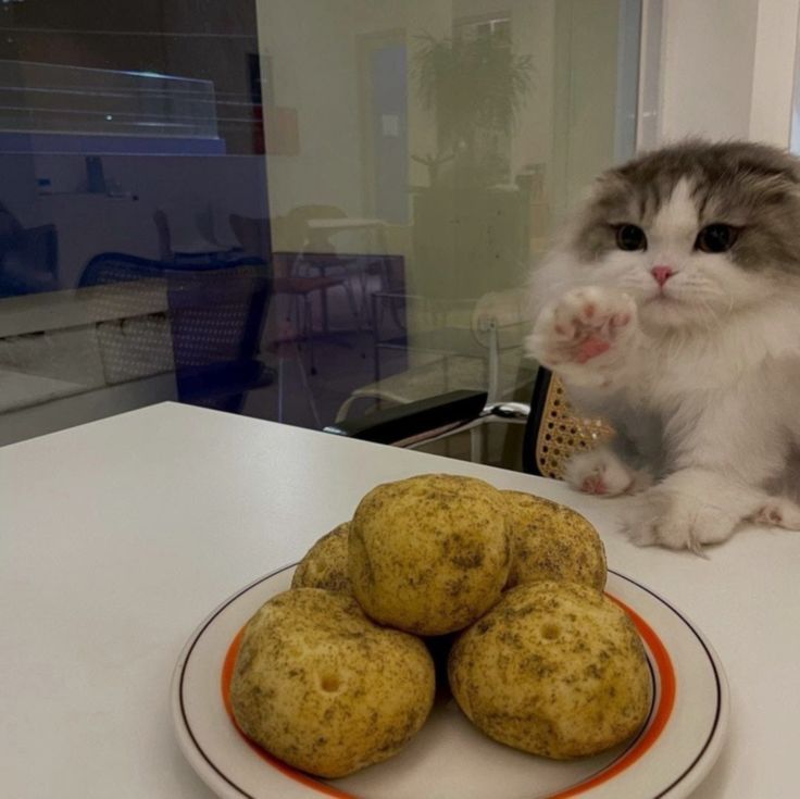 Gimme one ☺️ https://t.co/y27INg2zBw