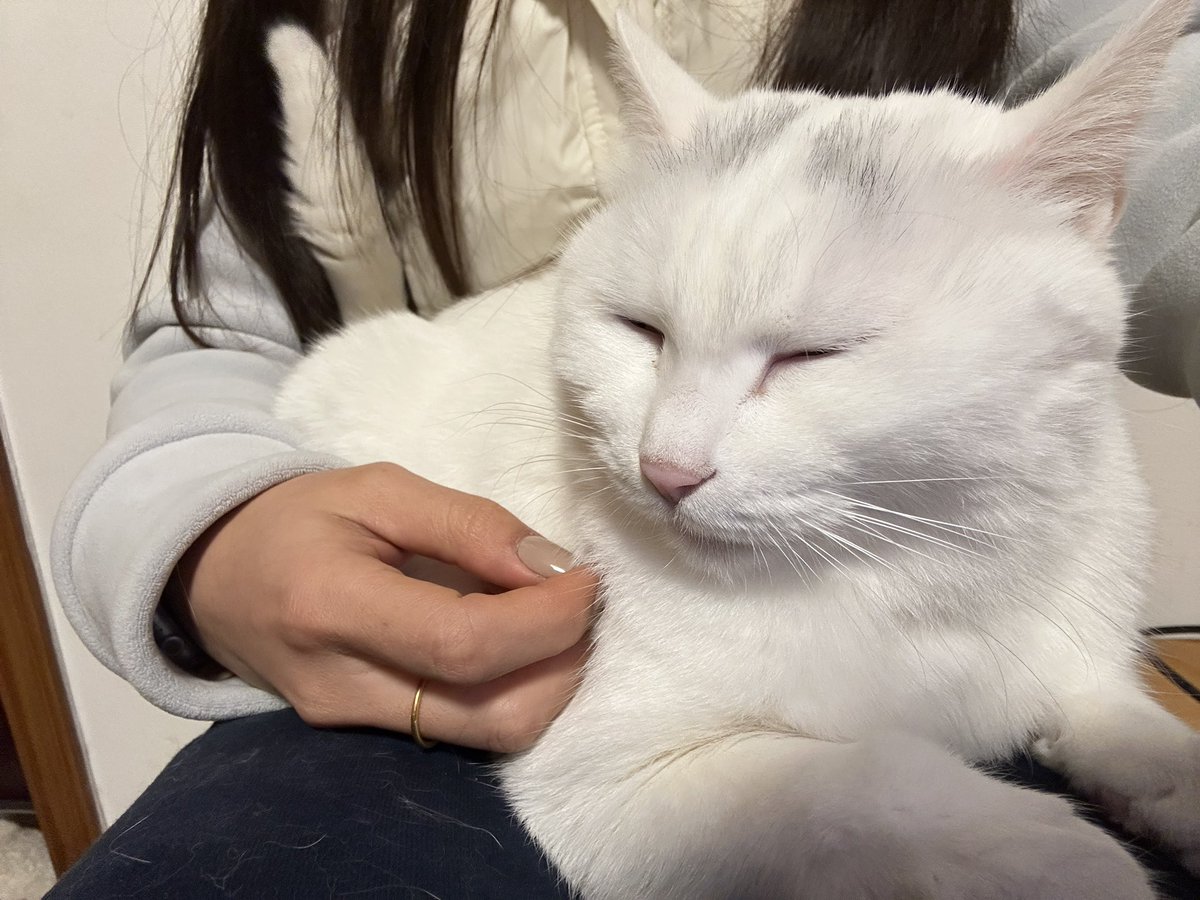 好饿！！！！ https://t.co/cy9LIXCWeL