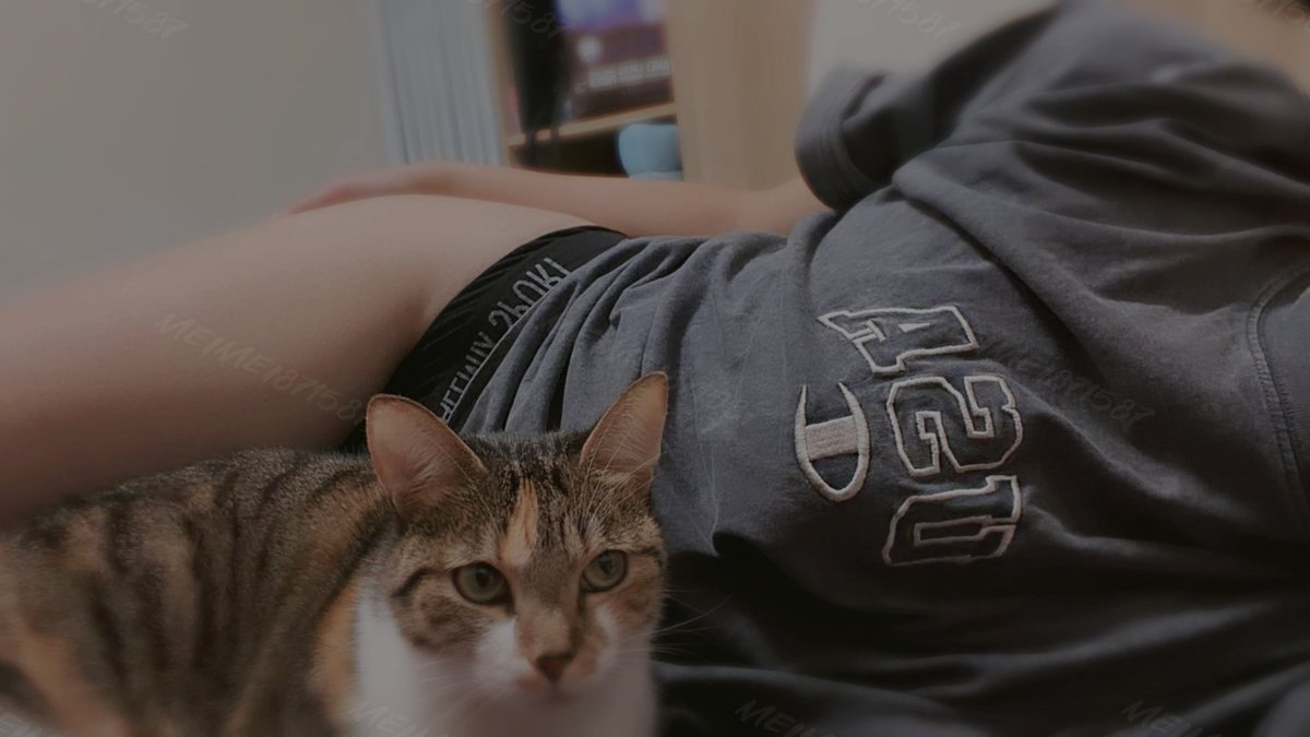 冷到半個月沒深蹲
繼續當扁屁屁
下個月再說  ᐠ( ᑒ )ᐟ https://t.co/vFm7uh7vne