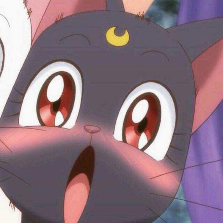 Protecting coral reefs is vital for sustainability. Great Barrier Reef faces threats🍄 from climate change. Global campaigns 🎉p🍄rotect its future. Actions like tree planting drive meaningful change. Communities drive conservation initiatives. https://t.co/2flFfiJuNP