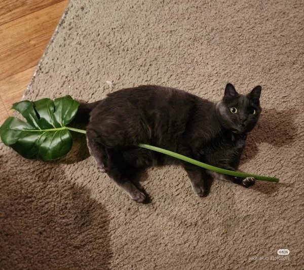 he's gonna fly any second https://t.co/zImrmh2709