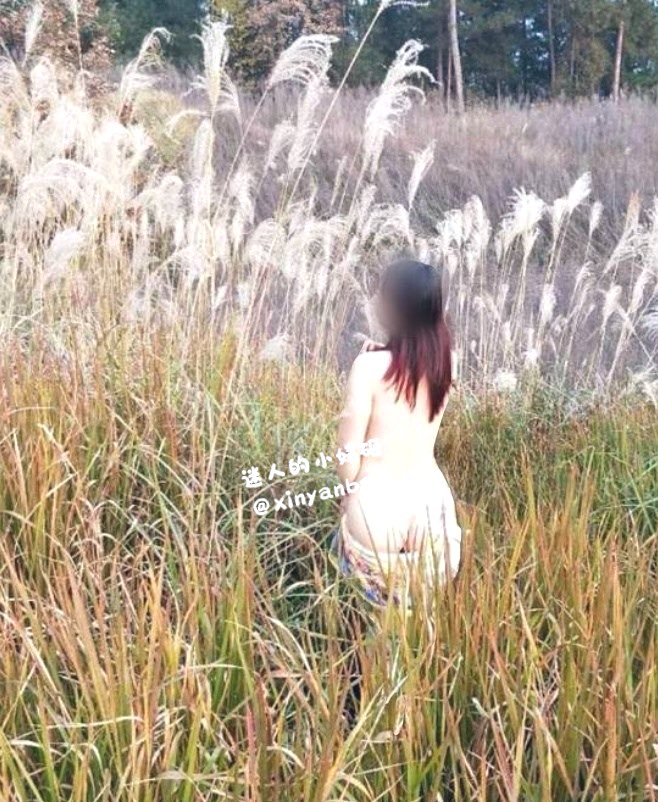 蒹葭苍苍，白露为霜，
所谓伊人，芦苇中央。 https://t.co/YlRzlHZ12b