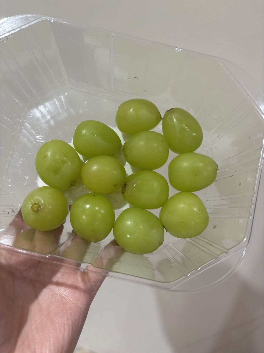 這葡萄有夠大顆
我有點懷疑我能不能在36秒內吃完12顆 https://t.co/6q42EUUGaX