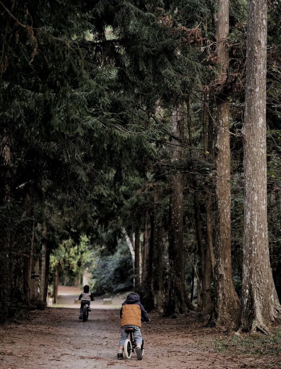 2025年一切上軌道投資績效不錯小孩聰明可愛老公很完美這個家很美雖然發生一些匪夷所思的爛事至少我努力維持跟老公的感情讓家幸福美滿 https://t.co/FxvdIjPKI2