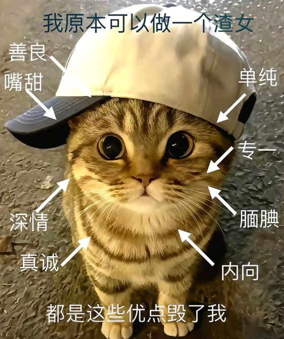 人类 我想你了 你在干什么 https://t.co/Xjkkc1WTsl