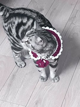 看看是谁收到了冷心织女的精美礼物 https://t.co/5UajK4Zzkl
