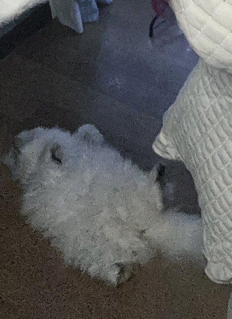 これはなんですか！！ https://t.co/xfbiRzgrL9