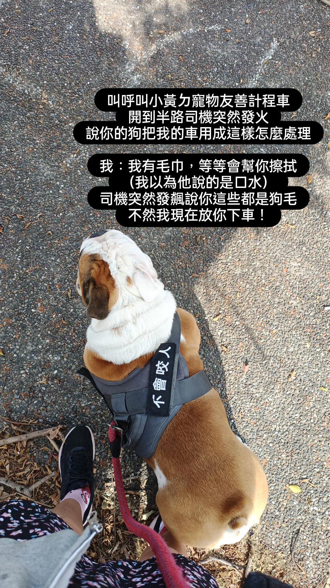 我今天被 呼叫小黃 的計程車司機提告了算是人生新體驗PO來讓大家笑笑今天中午我和金寶爸約好在高雄集合週末打算一起帶金寶再南下打開 呼叫小黃APP 選擇了中型犬/沒裝籠在車上金寶有在後座走動 和正常呼吸（我同時也在後座，金寶一隻狗佔兩個座位）上車約莫5-10分鐘後司機突然暴怒回頭要我們低頭看車子我看見大概5、6滴金寶的口水我：我有毛巾，下車前會幫你擦掉司機：你沒看到全是狗毛？？？！！！我：我以為我有選擇中型犬/沒裝籠？司機：你們現在給我下車！！！我：？他在大馬路旁停車把我們兩人一狗給趕下車我摸摸鼻子想說遇到一個不太友善的司機叫下一台車吧 算了付完車資230之後就打算下車叫另一台司機這時候又不放我們走了要求要1000元清潔費我：？ 我不付。司機：你不付我就告你們毀損！還有營業損失！我：哦司機：你不付一千我就報警！我要告妳！我：請你報警，謝謝接著警察來詢問狀況拍照確認毀損 （自然掉下來的狗毛及六滴口水漬）截圖車內攝影機裡的當事狗警察口頭勸說我退一步給清潔費我：今天又不是說金寶噴了一堆口水或者我擼他有掉一堆毛，也不是在車上便溺我不付。司機這個時候還在拉著警察嚷嚷他要告我總之我們就被帶到警局各自做了筆錄在警局時 我去查詢裁判書（公開網站）發現司機之前就有要求其他乘客清潔費1000元的民事案件還看到去年司機的傷害案件（當時判拘役50日）載去做筆錄的路上警察叔叔非常友善的載著大包小包的我們到了警局之後警察叔叔們還輪流來擼狗😂嫌疑狗的快樂警局半日遊之後我們還是有趕上接下來的行程🤘心情也沒被影響到希望之後遇到的都是友善司機