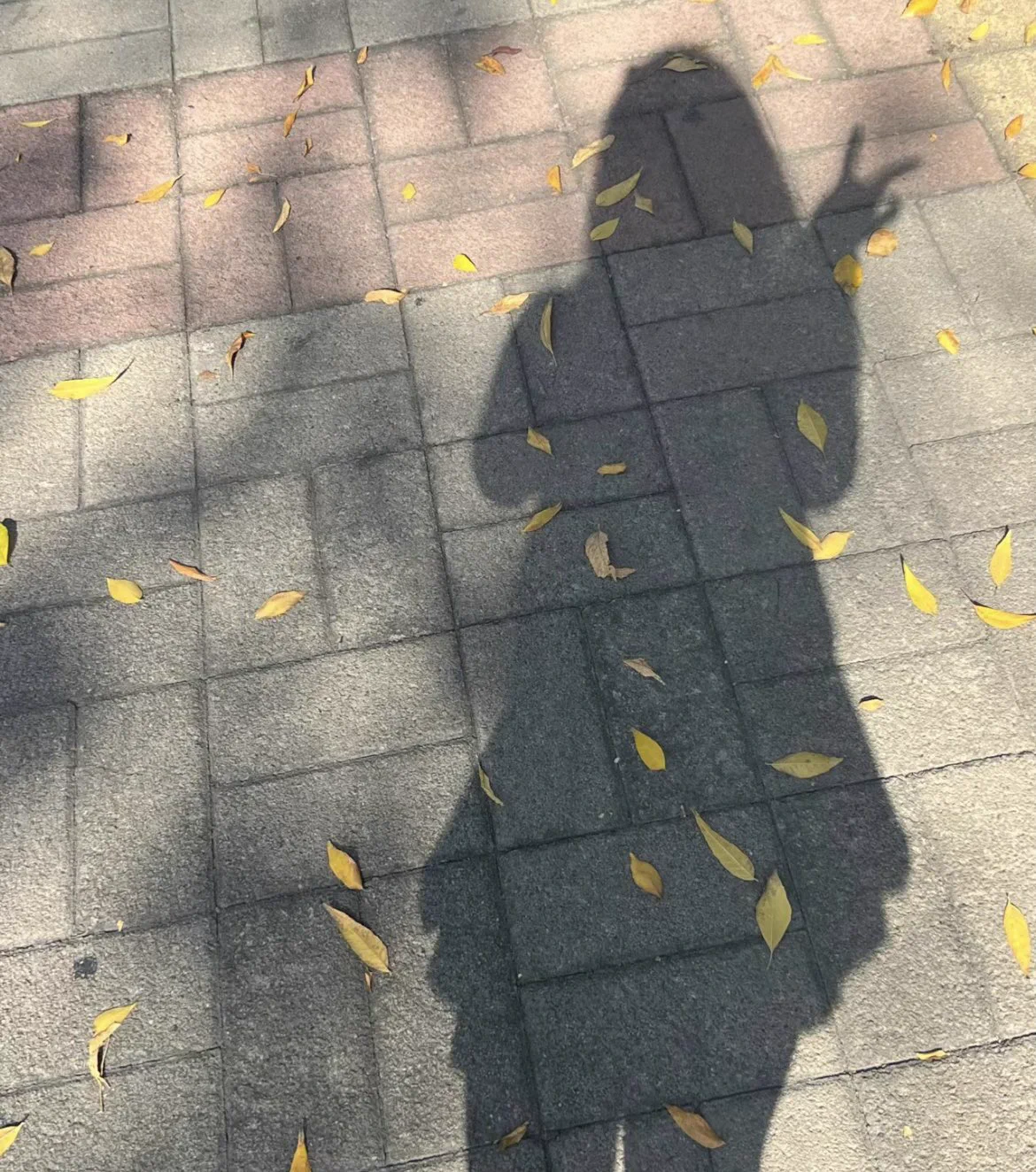 泡溫泉是不是不能一人進去😂♨️ https://t.co/WAs0PyYUMy