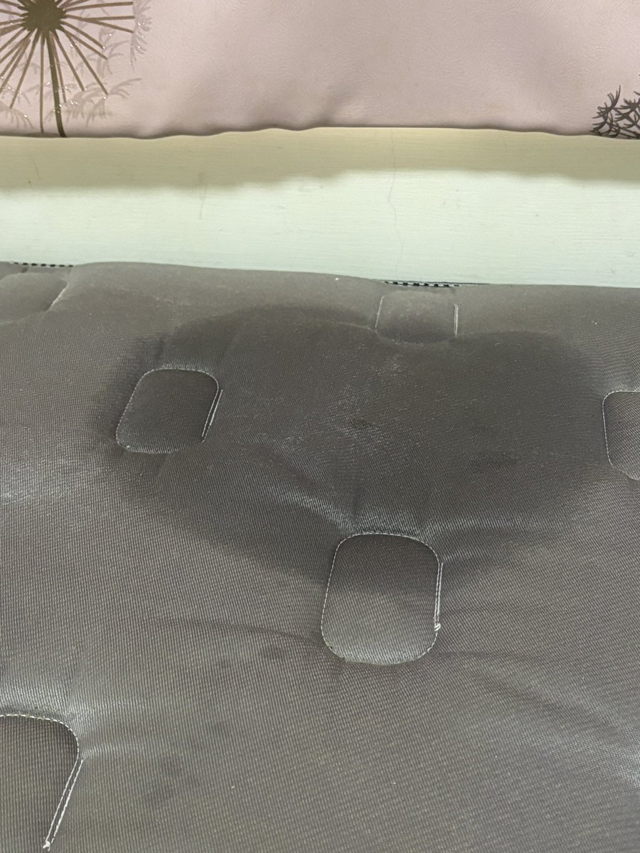 我的床被寵幸了
真貼心
我本來就打算換床單呢
只能等清潔劑乾ㄌ https://t.co/Uq4jI2njAK