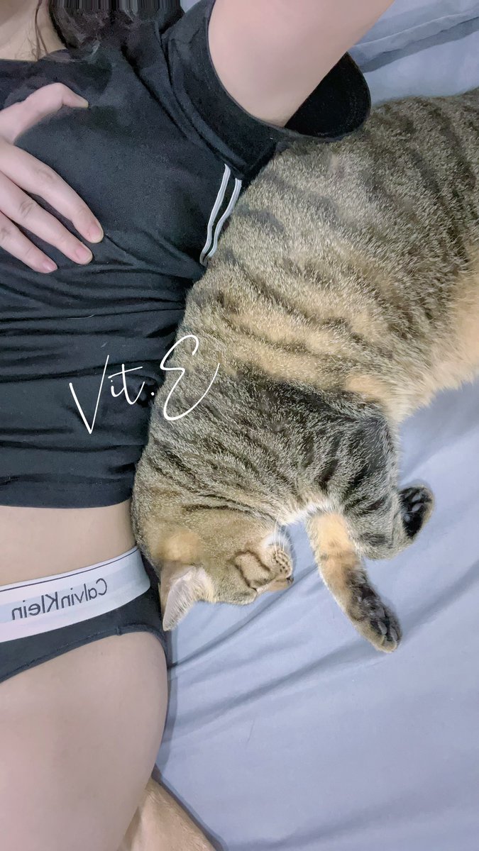 閉關期都work from home
也沒辦法出門見人
只好在家跟貓貓狗狗(?)貼貼ʕ •ᴥ•ʔ

#不在辦公室 
#三寶是隻話癆胖貓咪 

今天突然變好冷🥺 https://t.co/mV7ZLoljvx