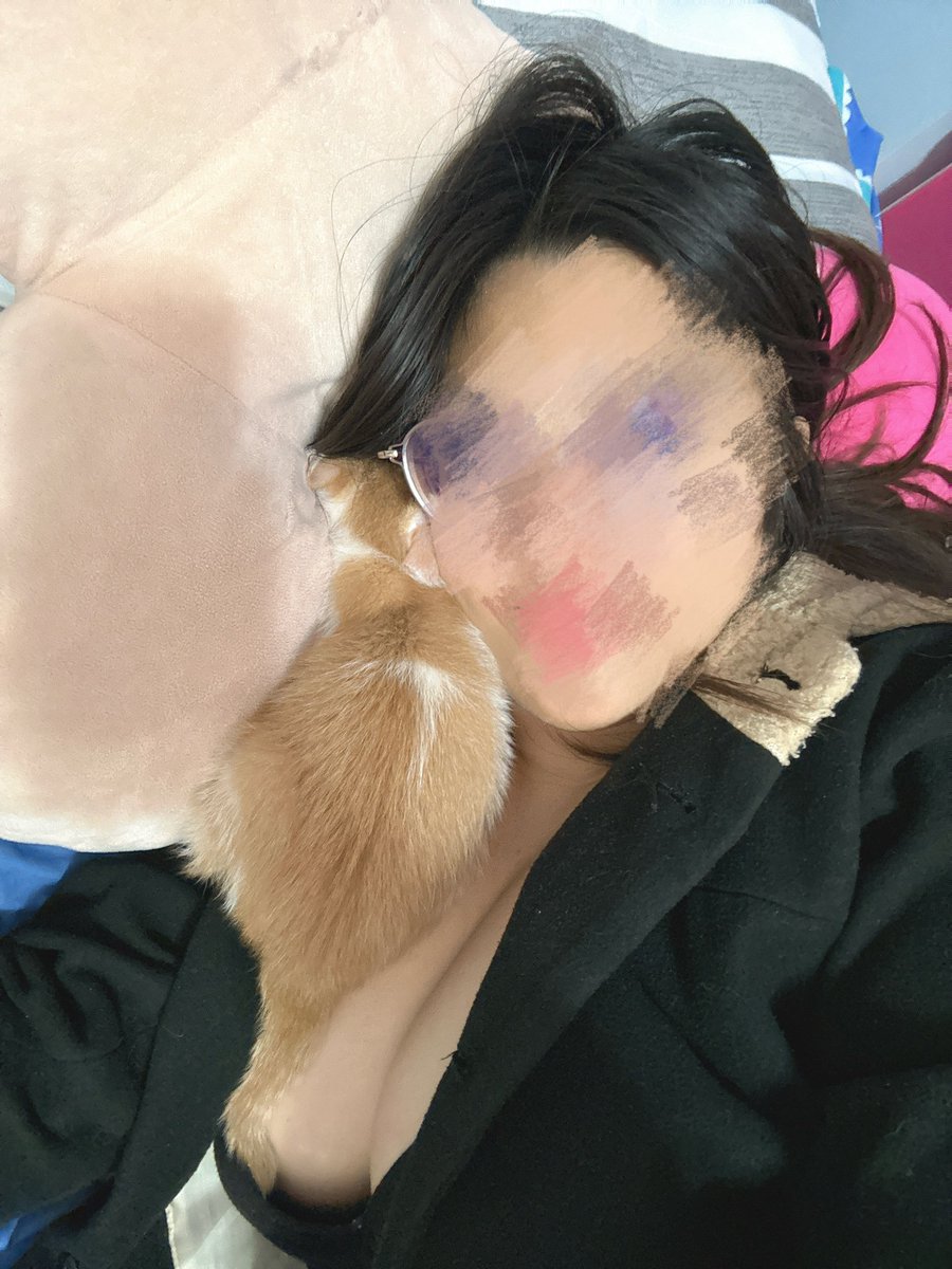 有一隻黏人的小貓咪也太幸福了吧🥰
直接在我耳朵旁邊呼嚕呼嚕

剛剛就在我旁邊繞啊繞找地方睡覺
最後居然直接往我脖子下面鑽
整顆頭埋進我頭髮裡面
就這樣睡著了
超可愛🥹 https://t.co/cNVTYeyyOb