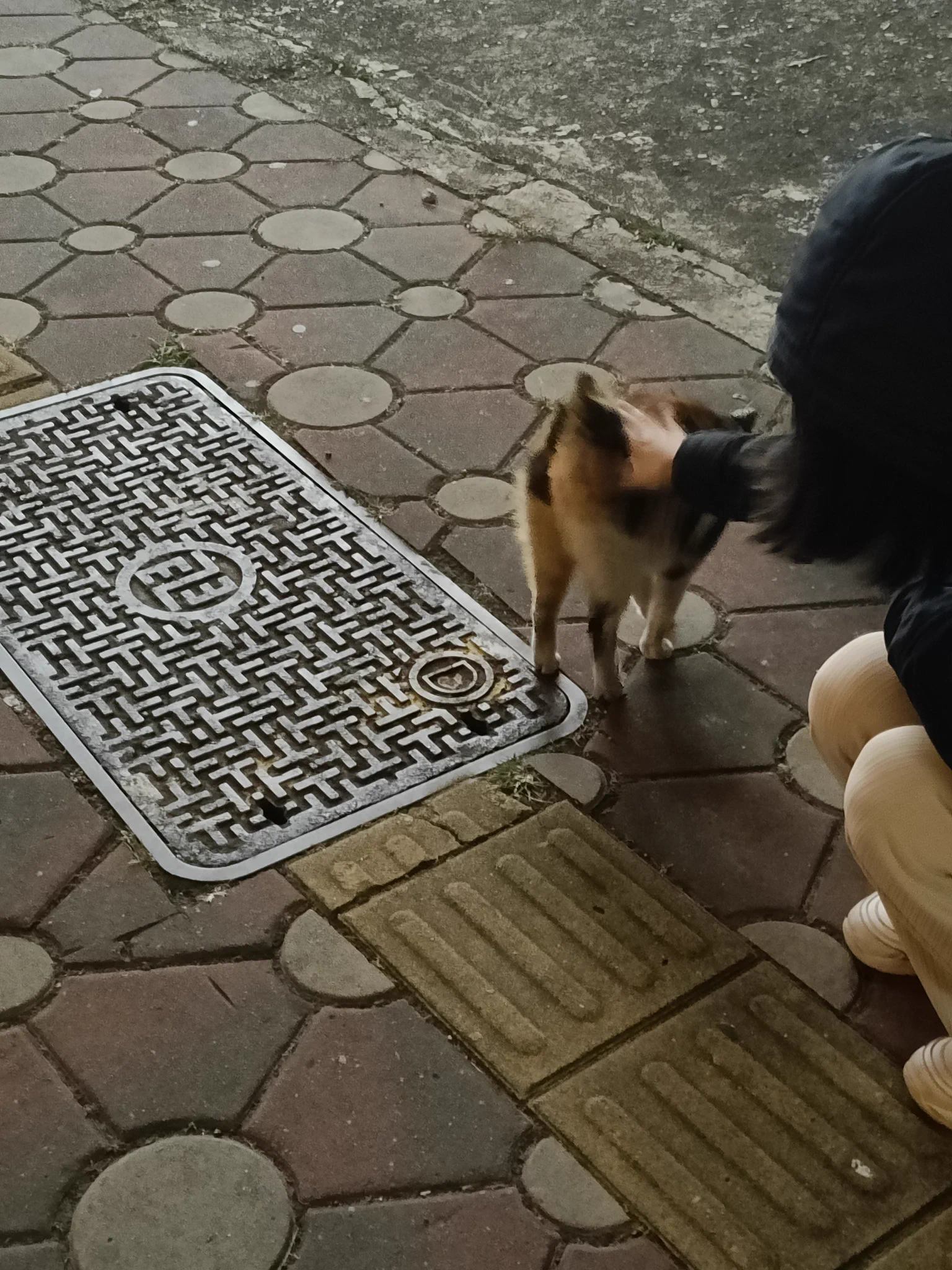 這種天氣真的很想綁架她給她一個家但又怕他不習慣家庭生活&amp;討厭狗 https://t.co/IGw7CVgket