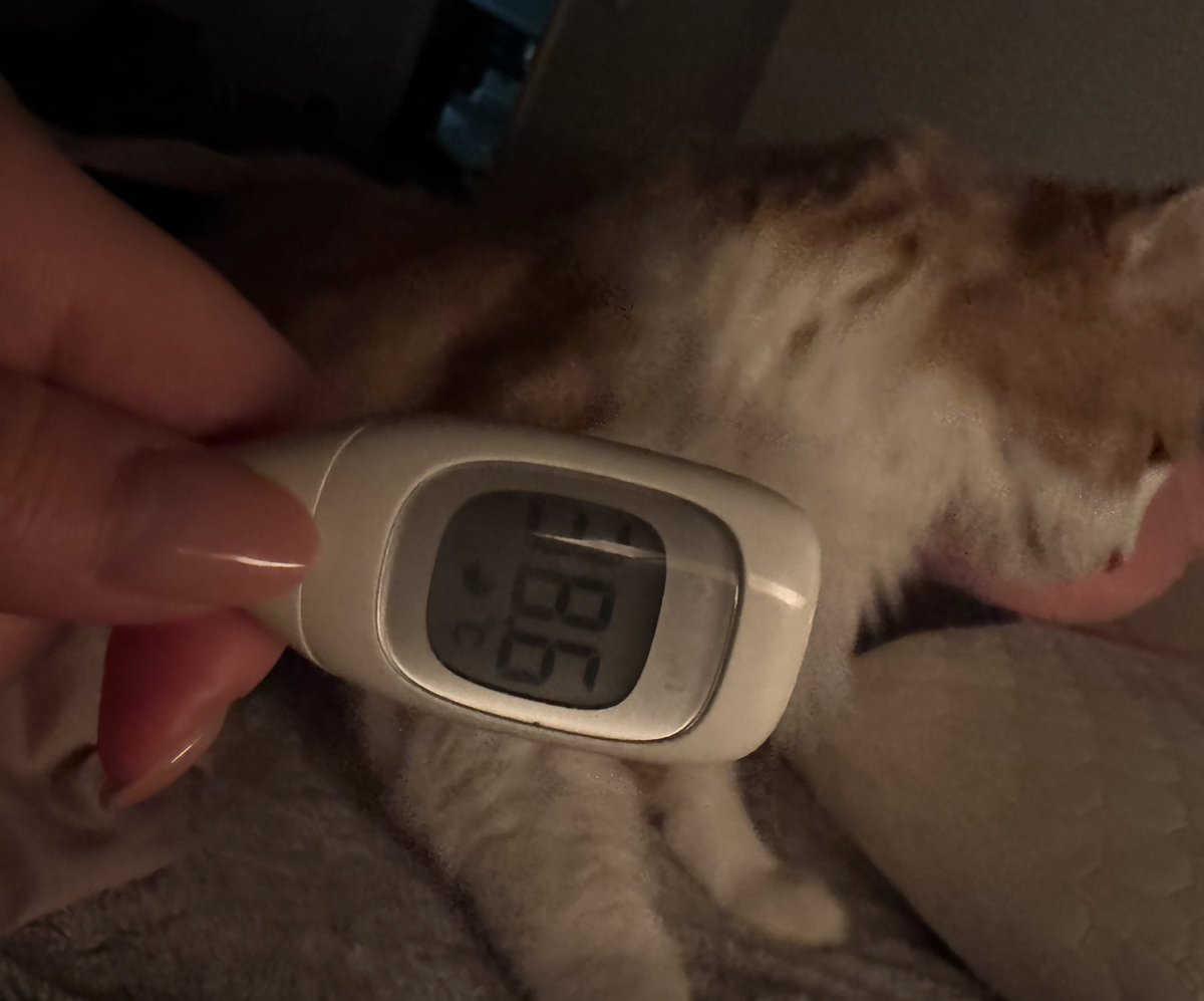 実は30日まで19連勤？でな...まじで昨日まで元気だったし最後まで元気に駆け抜けたかったからめっちゃ悔しいししんどいな。今日来てくれようとしてた皆さん本当にごめんなさいインフル検査もしてくるね https://t.co/NH2vUJoxpN