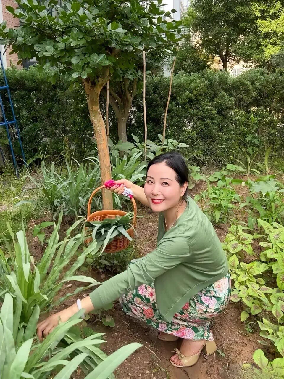 贤惠的邻家婶婶 https://t.co/GC7QsAJ7Hv