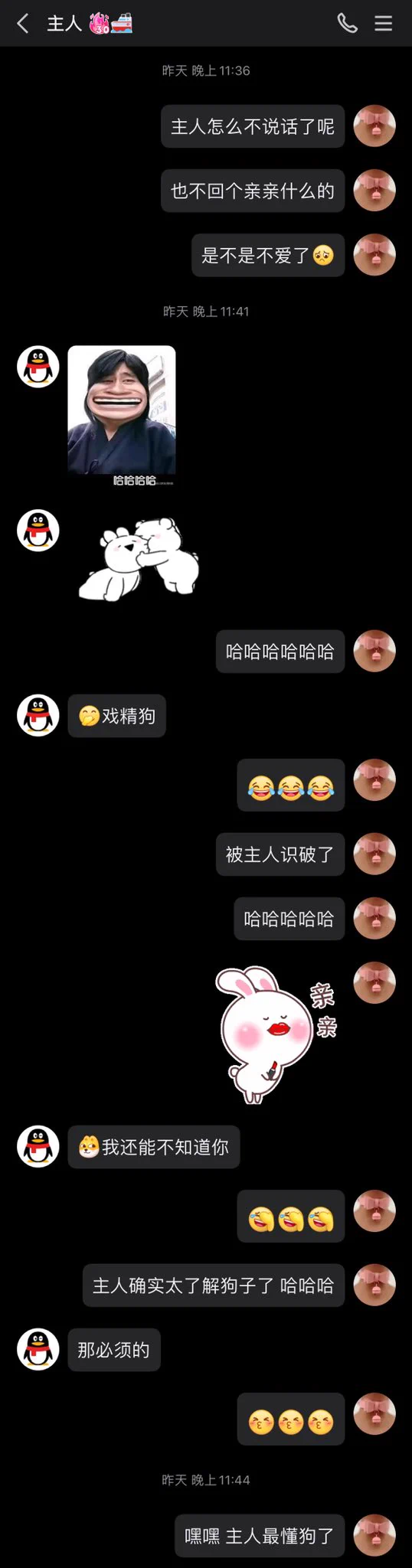 【主人最懂狗】哈哈哈，撒娇卖萌装可怜，被主人识破了😅 https://t.co/QVbvUhZjAx