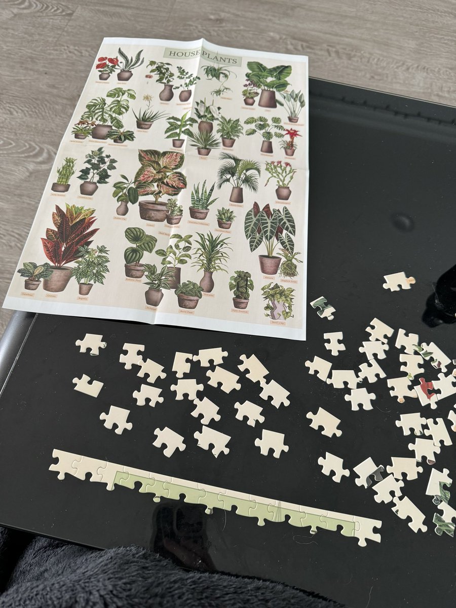 “Lynie why haven’t you responded or posted online?”
My hyper-fixation: 🧩 https://t.co/eYNCqCBAsb