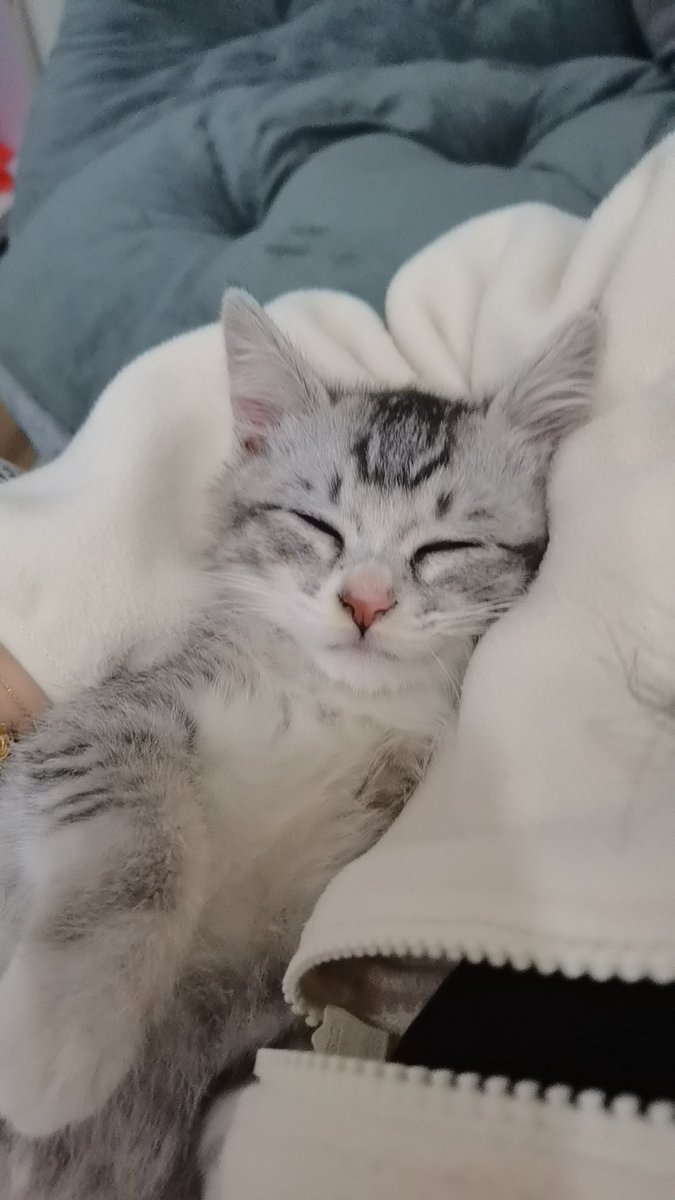 @linlang0321 间歇性乖的要死，经常性皮得像猴 https://t.co/Qg9mFerqbe