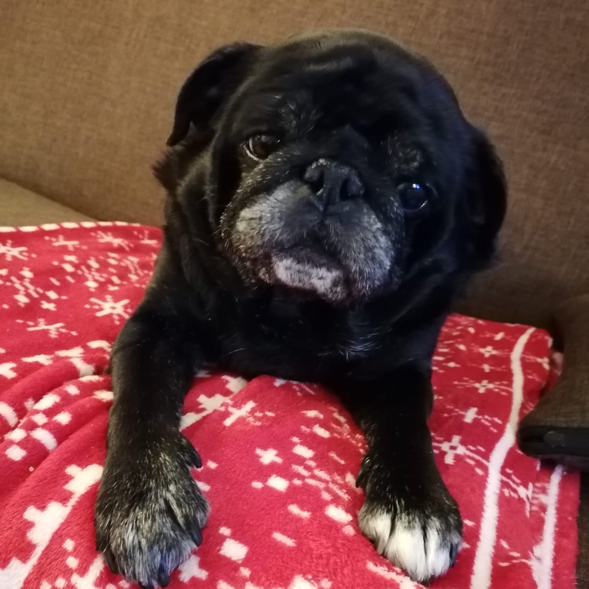 @smutnahistoria Ja pójdę do piekła, a wszystko przez Bolka https://t.co/YULTnrZ1BY