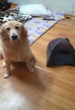 なぜ保存したか分からない写真選手権

最優秀賞 https://t.co/gDwLBa2UAH