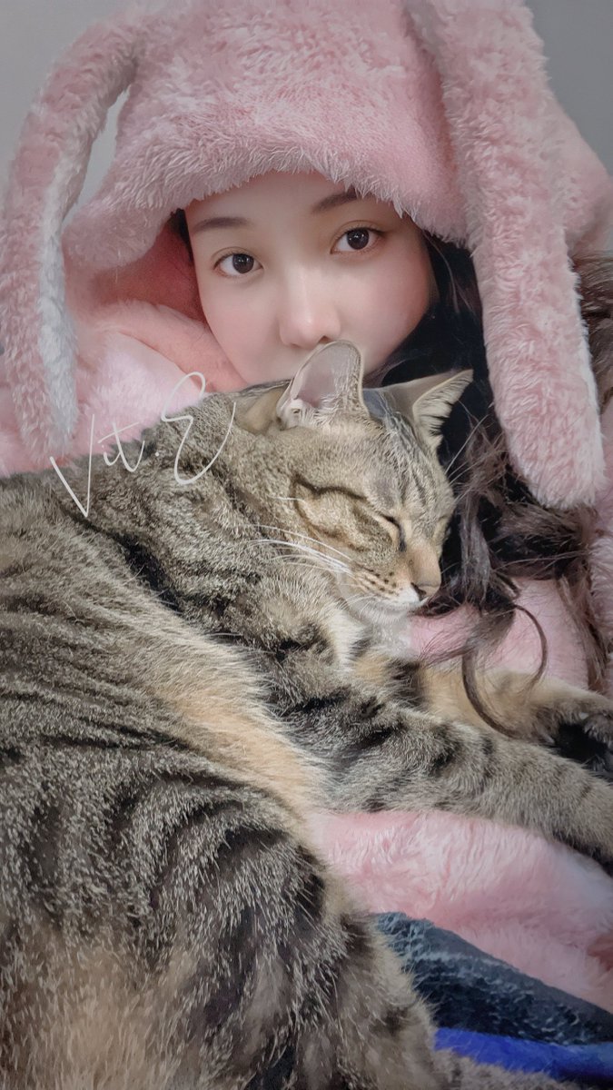 我們都很好
只是這個天氣太適合懶散了
🐰🐱

#三寶是隻話癆胖貓咪 https://t.co/JUvtCsnEeA