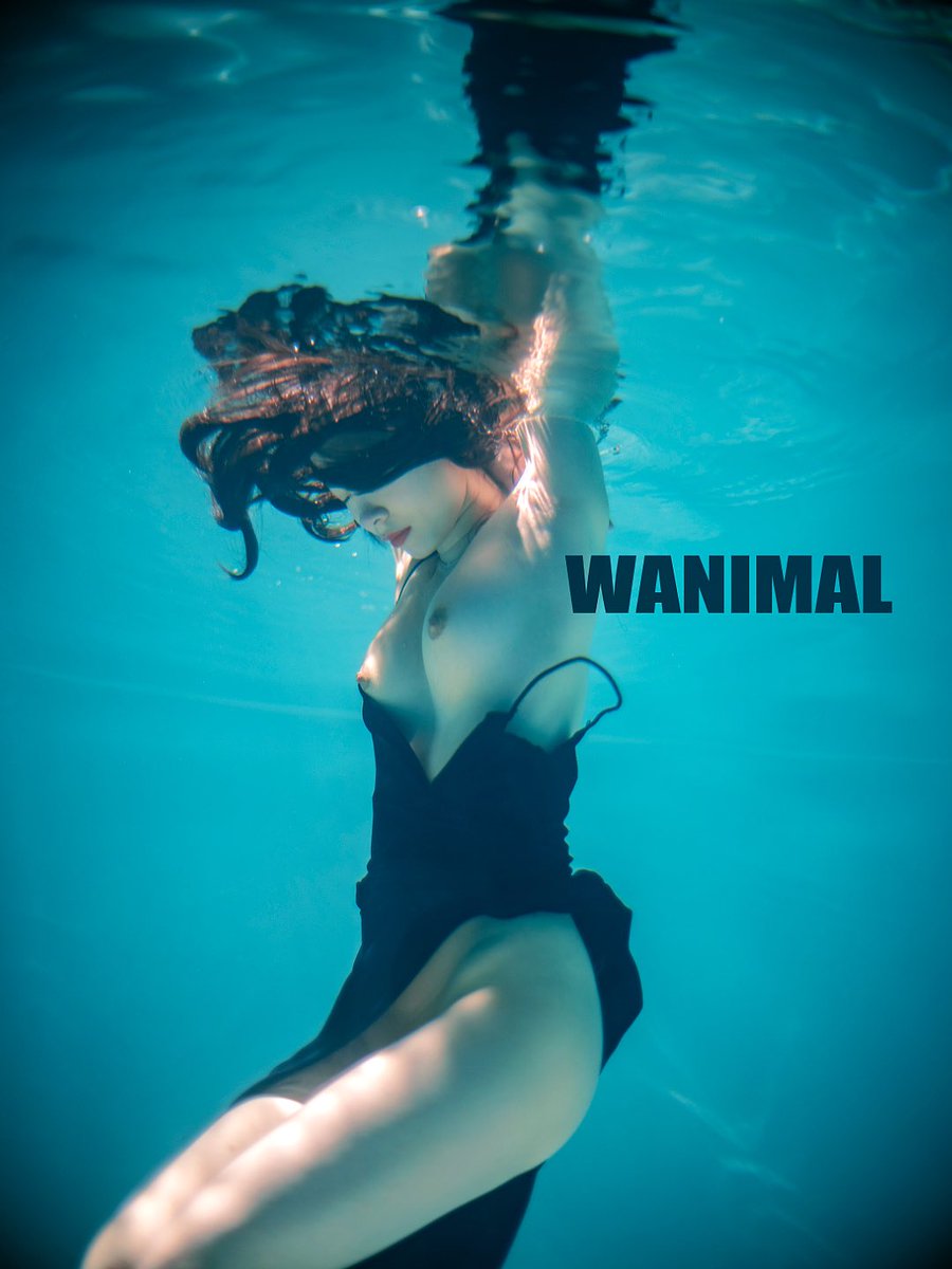 WANIMAL水下專輯
編輯中 https://t.co/7XNDr1vXwb