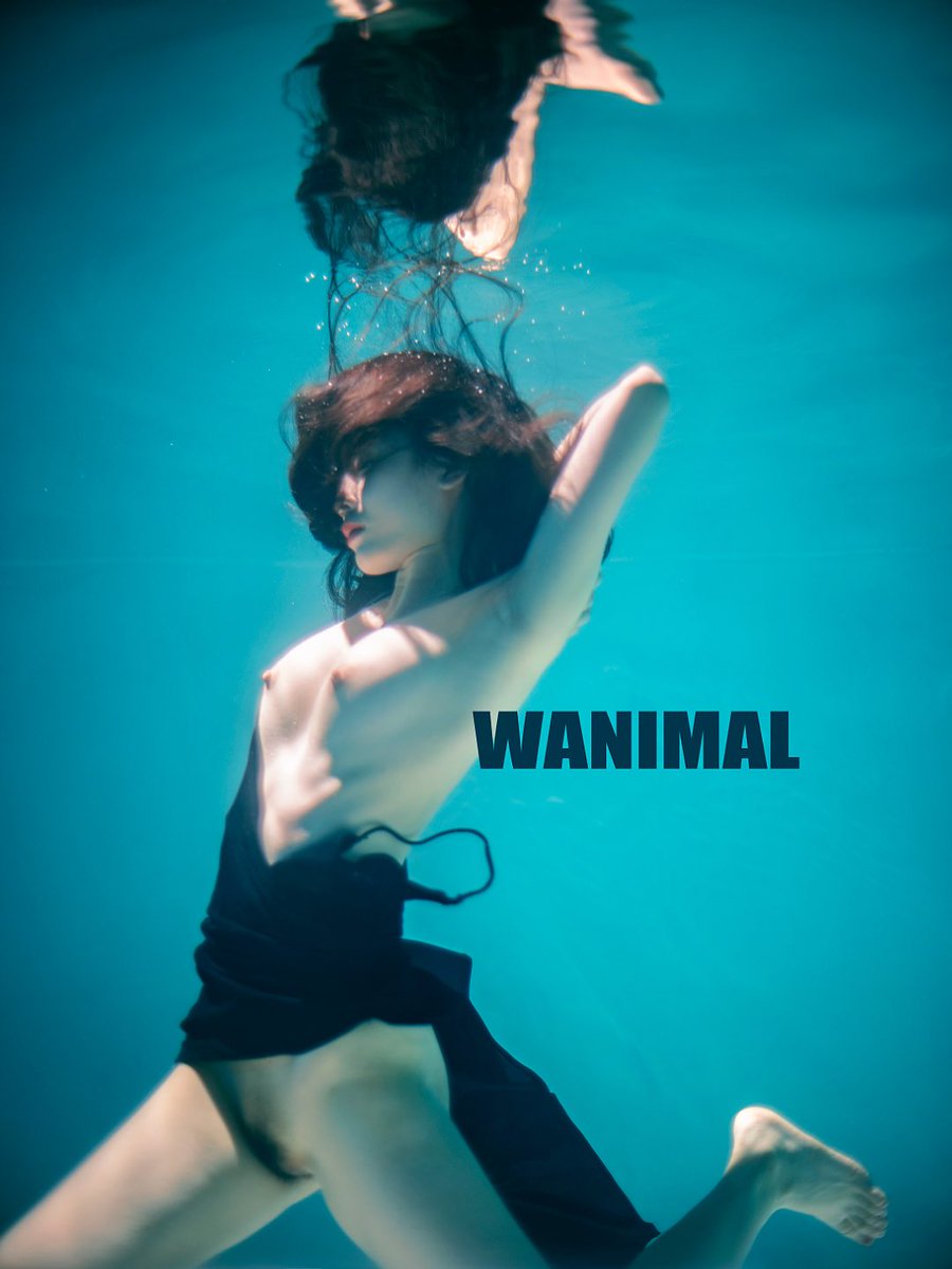 WANIMAL水下專輯
編輯中 https://t.co/7XNDr1vXwb