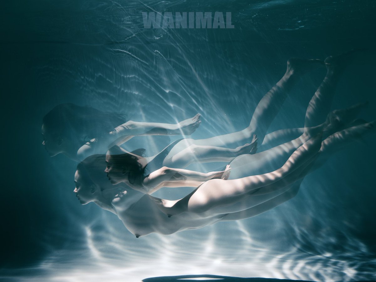 WANIMAL水下專輯

preview https://t.co/7iT6otJv5u