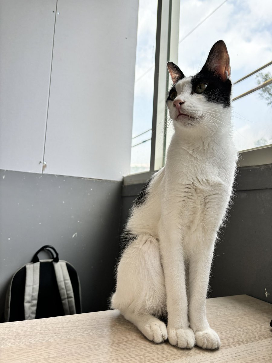 @lee0501636 生日快樂～ https://t.co/Zbxb1n4pQ7