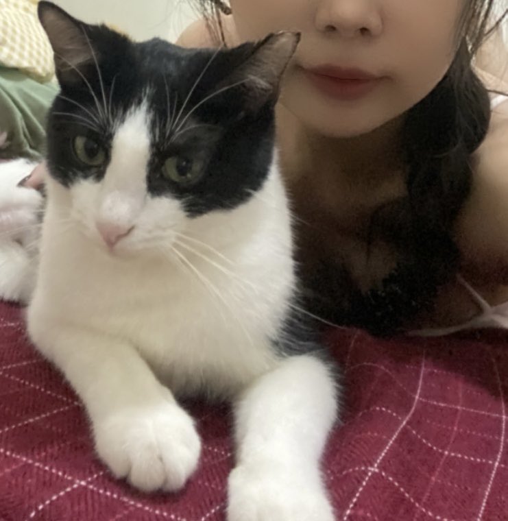 為什麼跟我拍照可以這麼不開心！！！
但我還是愛我的小貓 https://t.co/aZ67rqlhKU