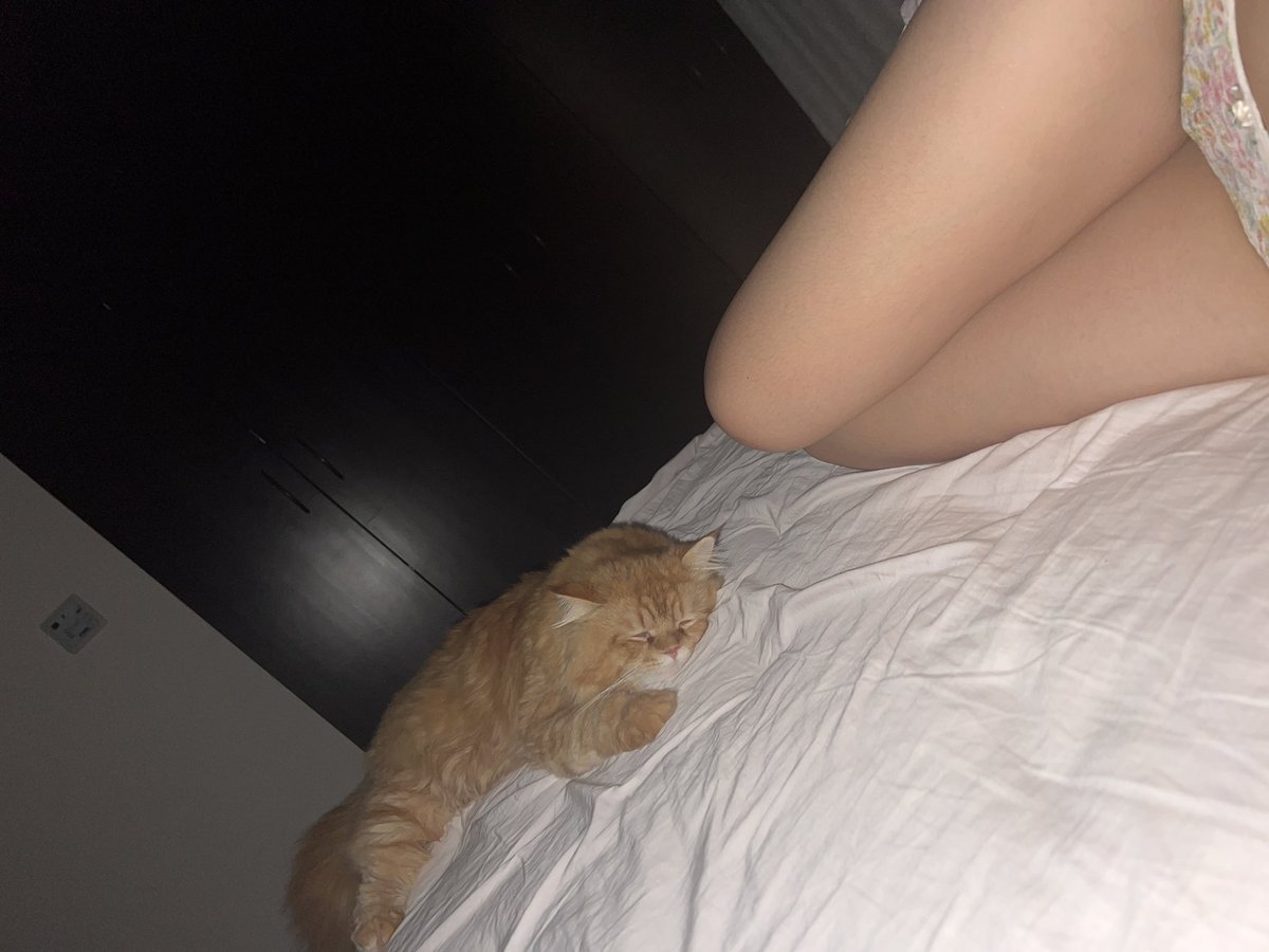 小猫热炕头 https://t.co/Uekjm05kjW