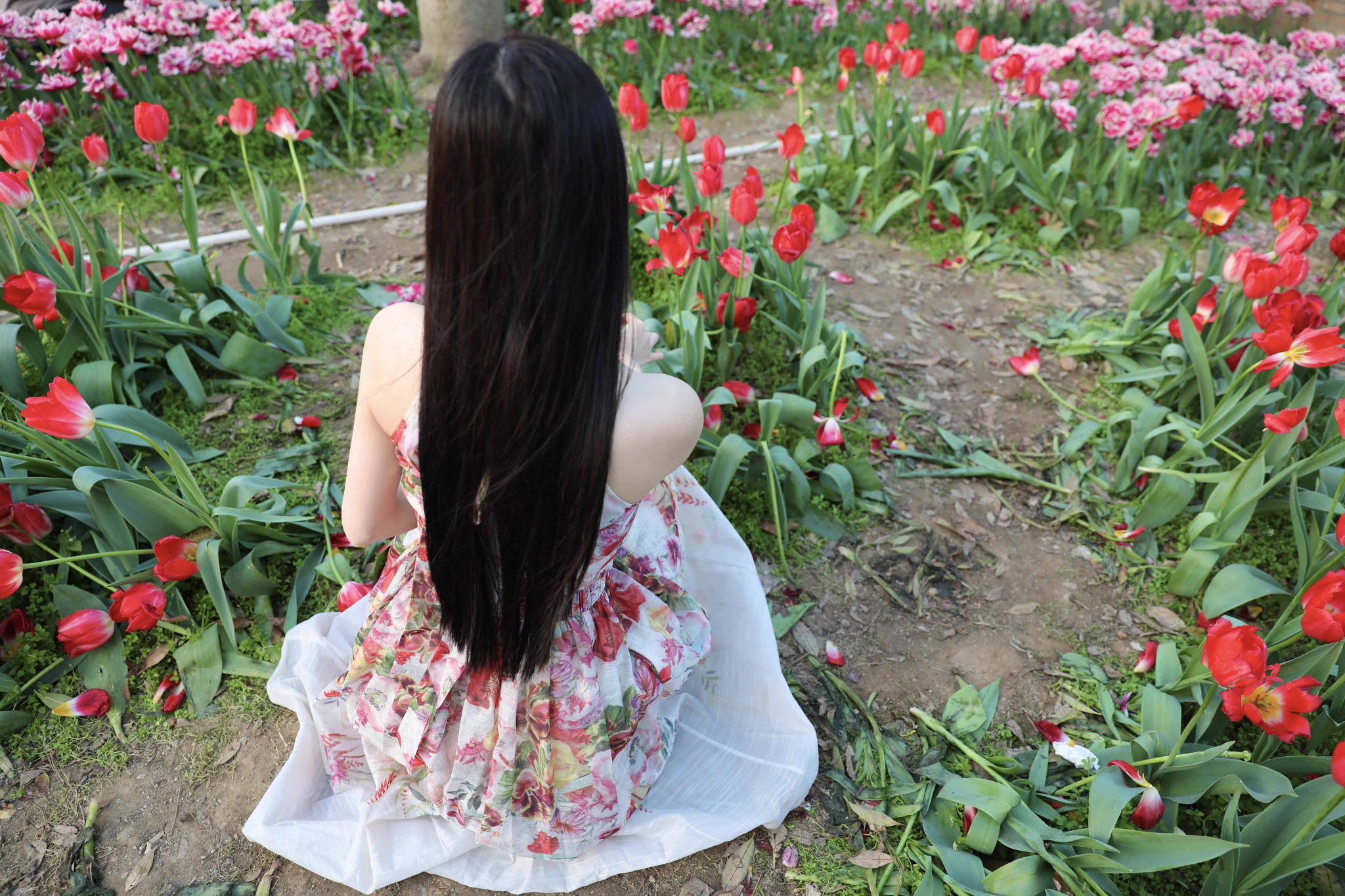 #丝袜 #美腿 #恋足 来到郁金香的世界🌷 https://t.co/pElCEg9Qk6