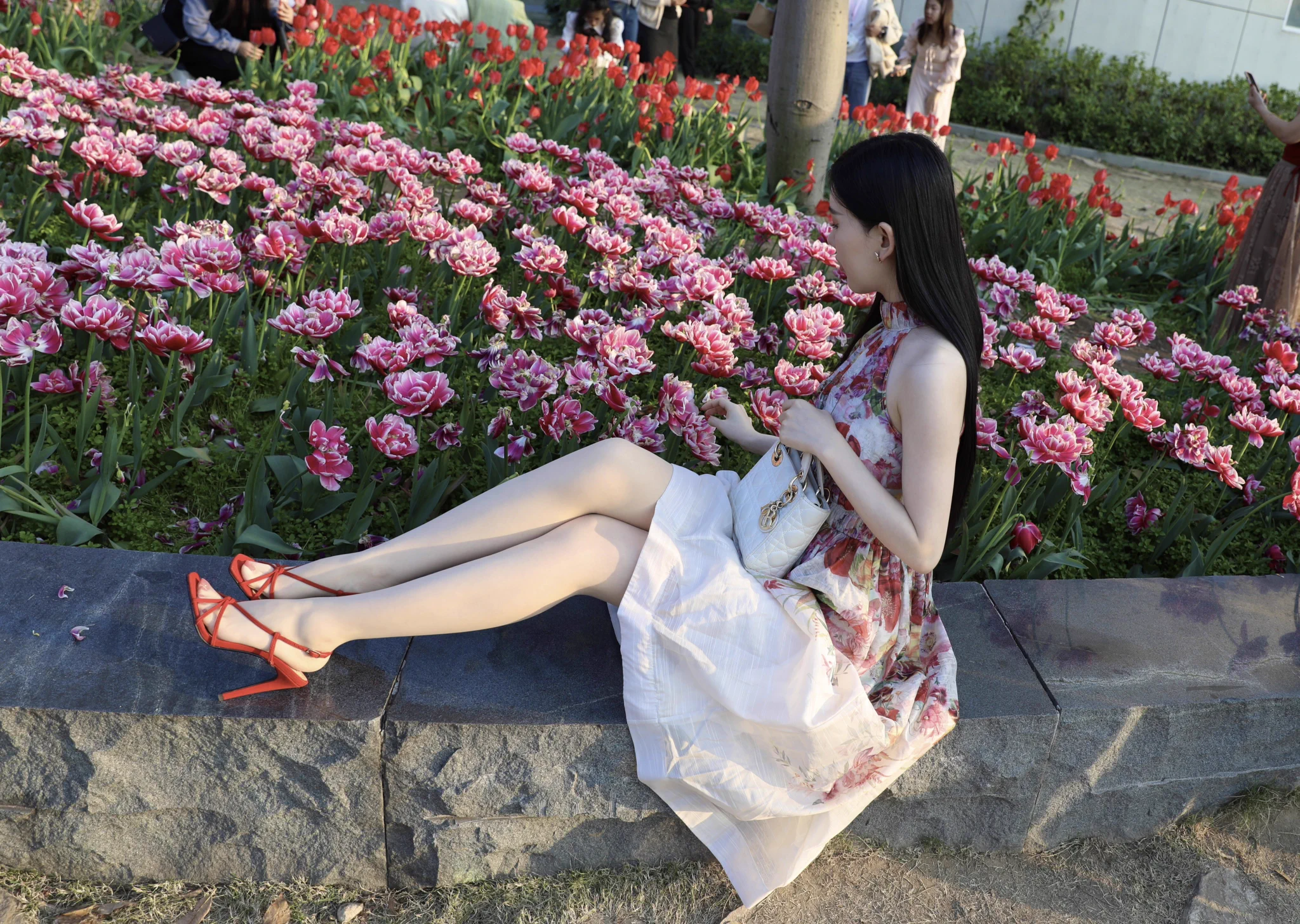 #丝袜 #美腿 #恋足 来到郁金香的世界🌷 https://t.co/pElCEg9Qk6