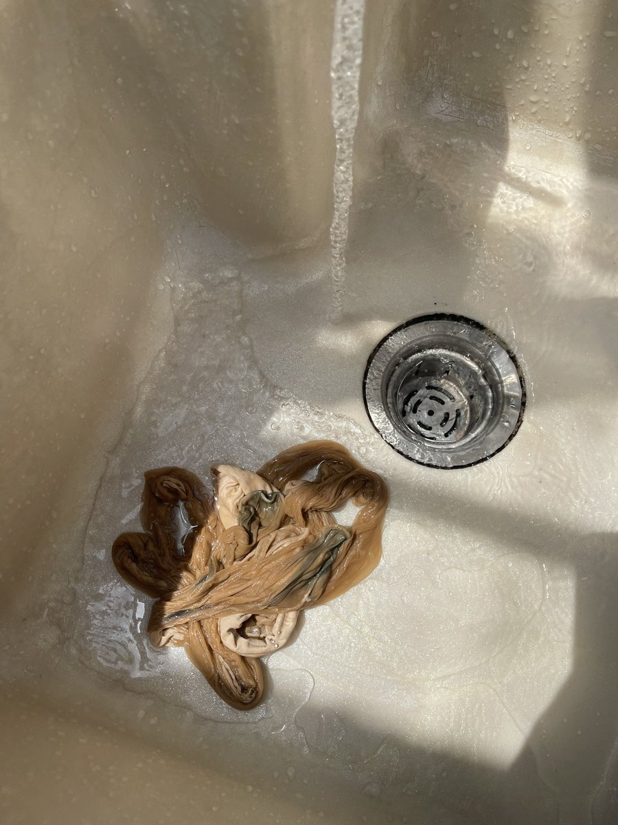 洗洗 https://t.co/vQh5hCEsY6