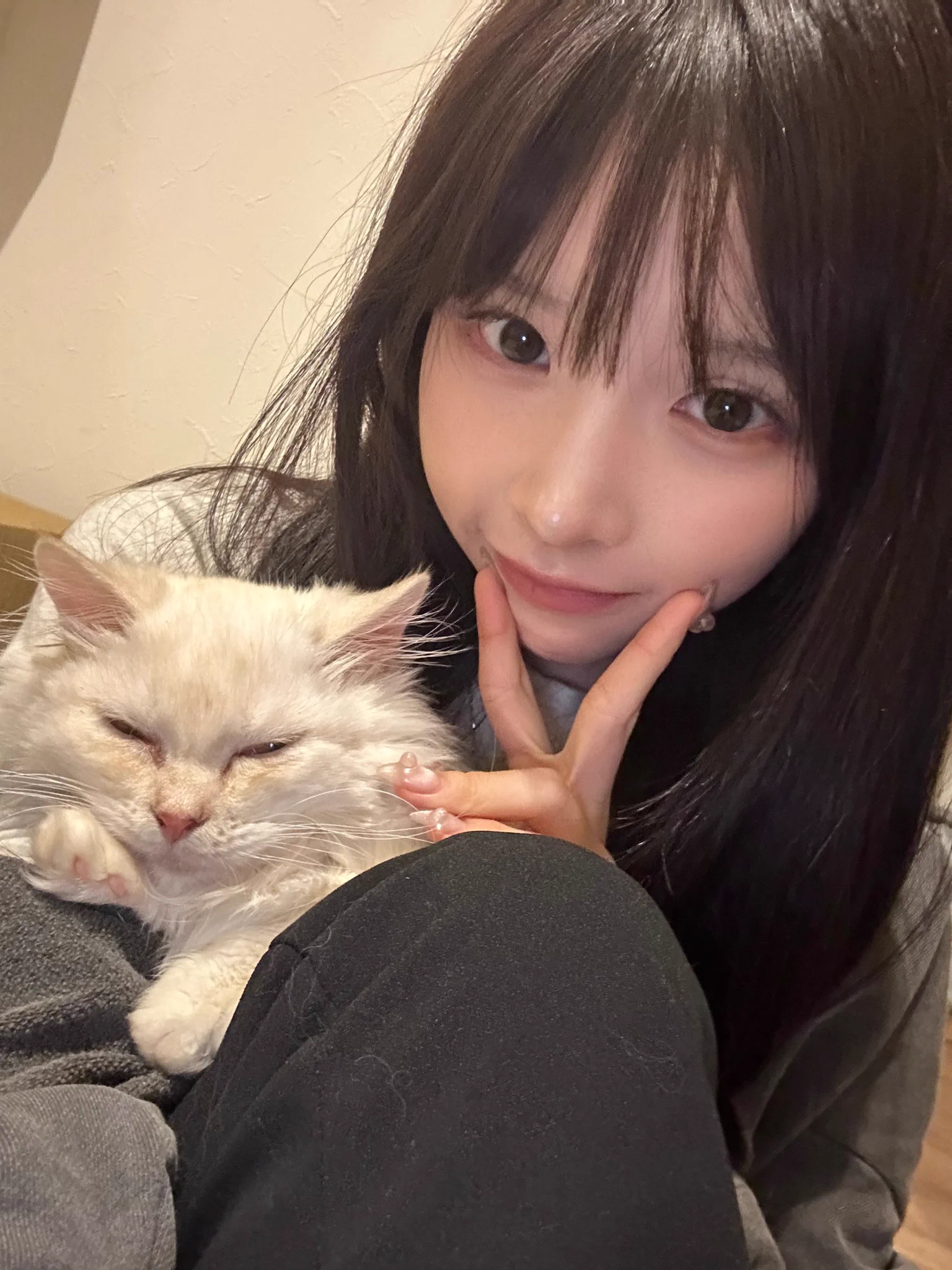 私が盛れてる時、うちの子が盛れてない https://t.co/QflbKM9sTR