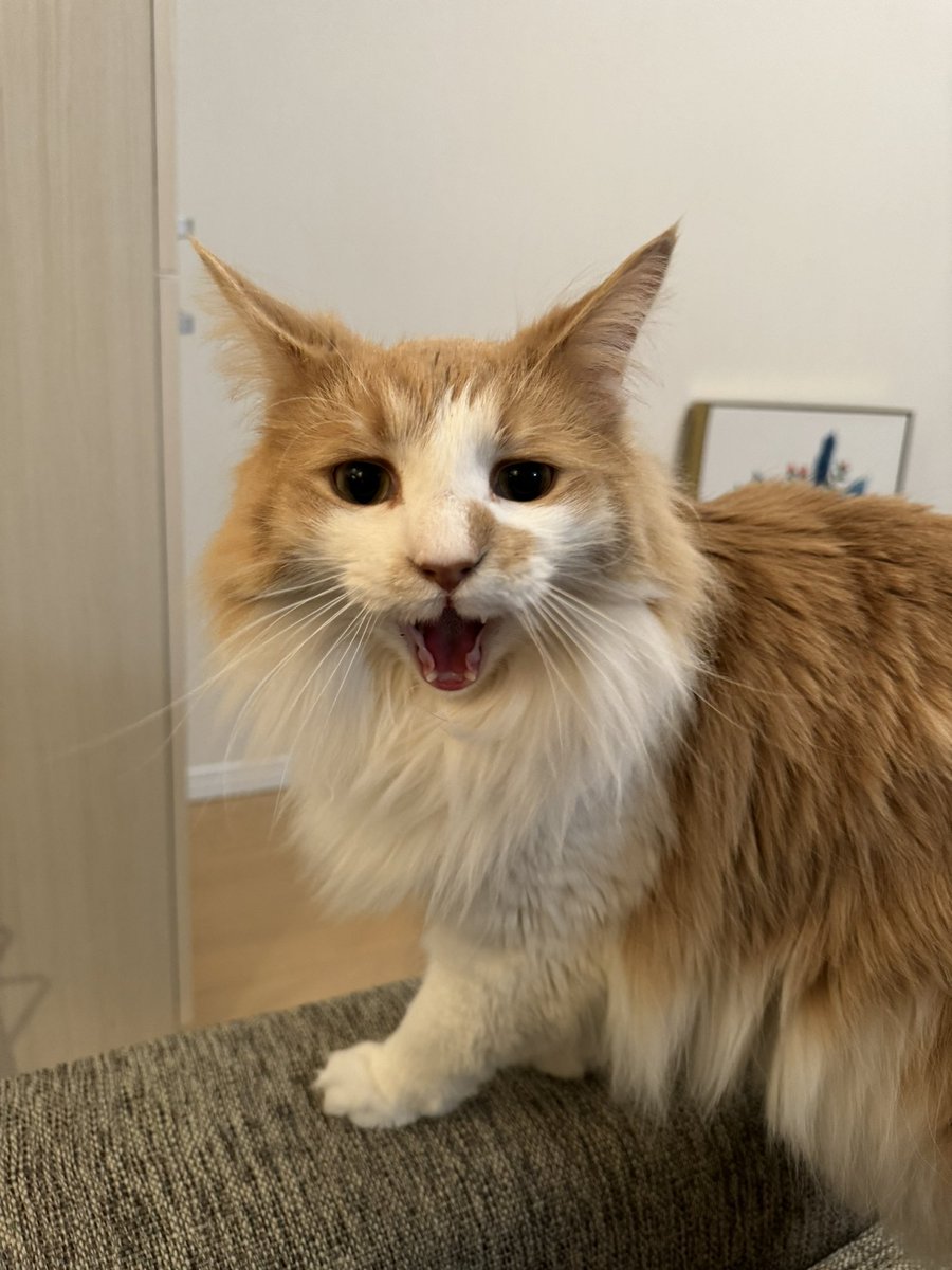 明日！4月13日！秋田！！
ガイア横手店様/ガイア大曲店さま
来店です！✨
元々事務所の後輩ひなこちゃんが出演予定だったのですが、体調不良で出演できなくなってしまったので、明日はまりちゅうがピンチヒッターで行かせていただきます！！

🌟ガイア横手店様
時間 10:00〜12:00
🌟ガイア大曲店様
時間 13:00～15:00

・サイン(色紙のご持参お願いします)
・ツーショット1枚
対応させていただきます✨

初めての秋田県です！♡無料のイベントなのでぜひお気軽にお越しください🥰🎰

#PR