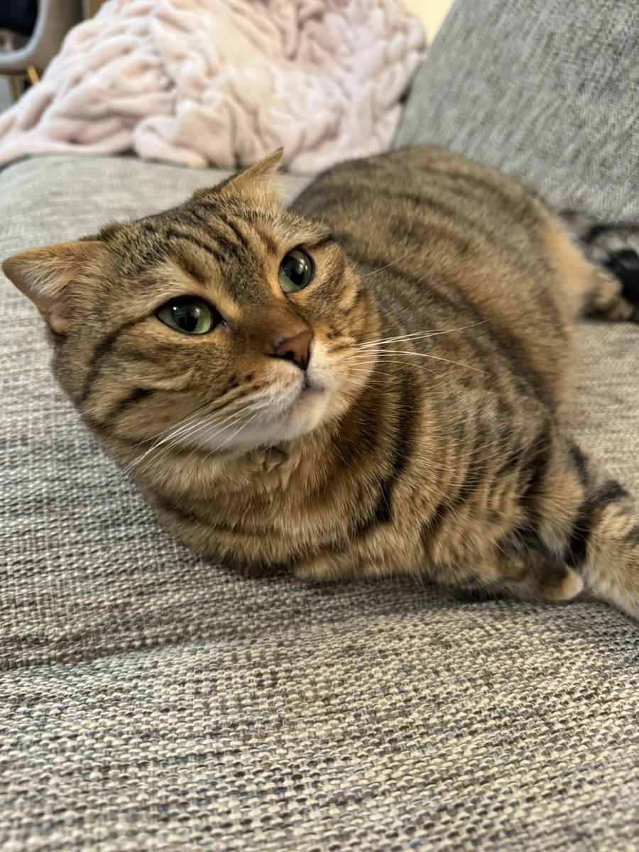 明日！4月13日！秋田！！
ガイア横手店様/ガイア大曲店さま
来店です！✨
元々事務所の後輩ひなこちゃんが出演予定だったのですが、体調不良で出演できなくなってしまったので、明日はまりちゅうがピンチヒッターで行かせていただきます！！

🌟ガイア横手店様
時間 10:00〜12:00
🌟ガイア大曲店様
時間 13:00～15:00

・サイン(色紙のご持参お願いします)
・ツーショット1枚
対応させていただきます✨

初めての秋田県です！♡無料のイベントなのでぜひお気軽にお越しください🥰🎰

#PR