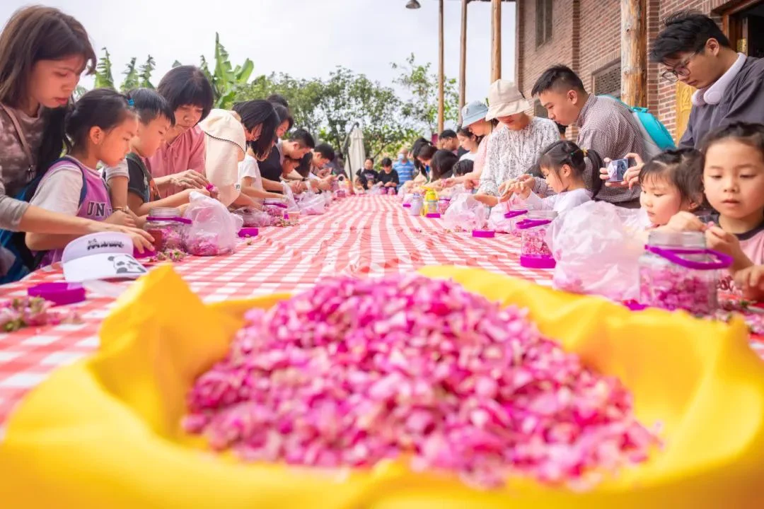 🌸 From our gardens to your plate, residents in Xiaolan town, #Zhongshan, add a rose only seen here into egg rolls, candies, pancakes and even chicken wings! Come here and have a bite this spring. #YummyZhongshan https://t.co/055C5pYBhJ