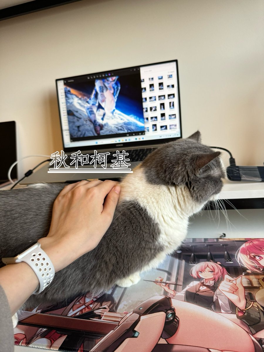 猫猫：我来视察一下工作，不然你要买不起猫罐罐了！ https://t.co/wE7eRs0rnQ