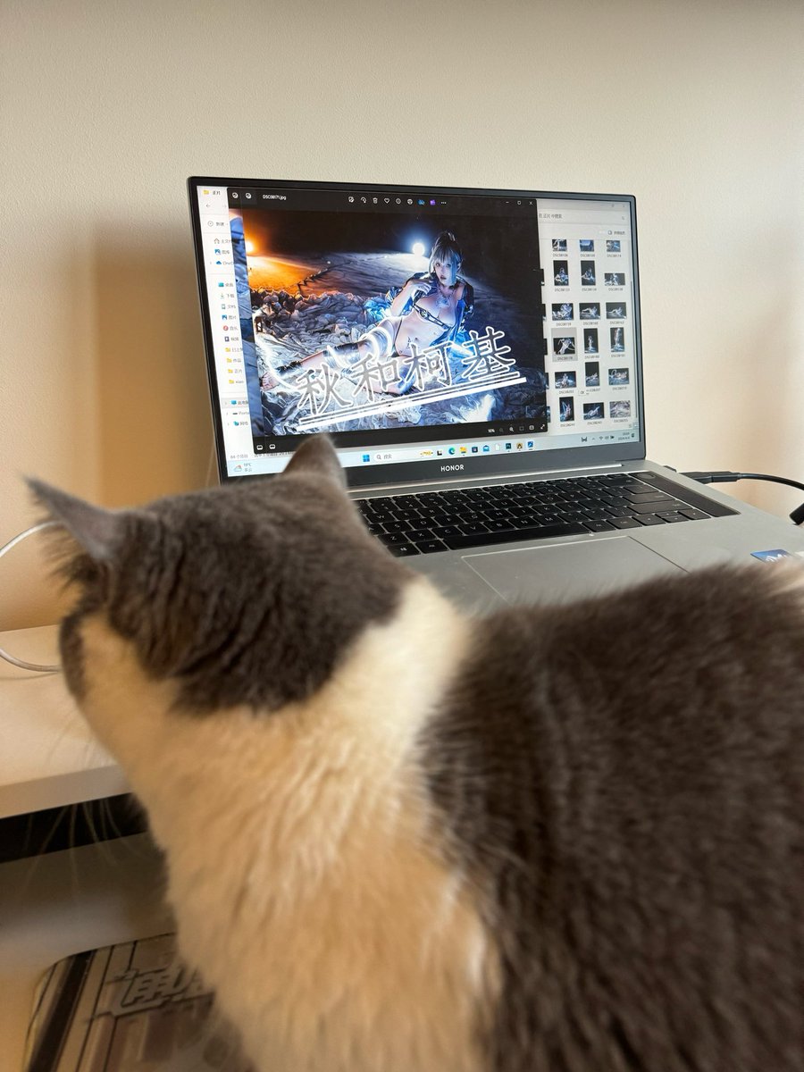 猫猫：我来视察一下工作，不然你要买不起猫罐罐了！ https://t.co/wE7eRs0rnQ