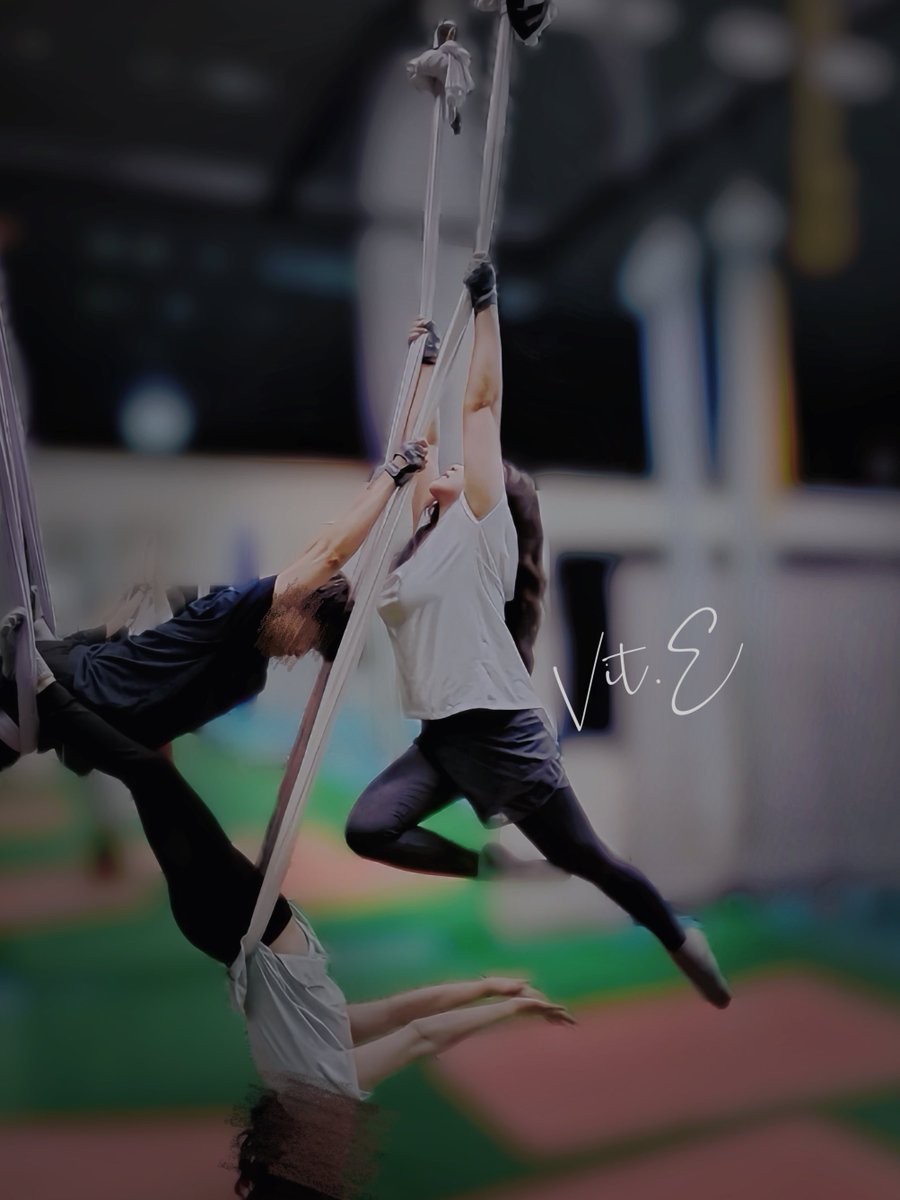 陪家母一起上運動中心的課
因為學生都是婆婆媽媽所以老師特別愛設計一些趣味互動的奇妙的多人動作（？

這個不是我在吹
整班七個學生只有我成功
作為沒在鍛鍊、握力爛到爆、體重偏重的人
我自己是覺得我超屌🥹

看起來很簡單其實超難
大概只能撐五秒就會滑下來
真的握不住( •᷄⌓•᷅ )

#空中瑜珈 https://t.co/A8rkSwibg4