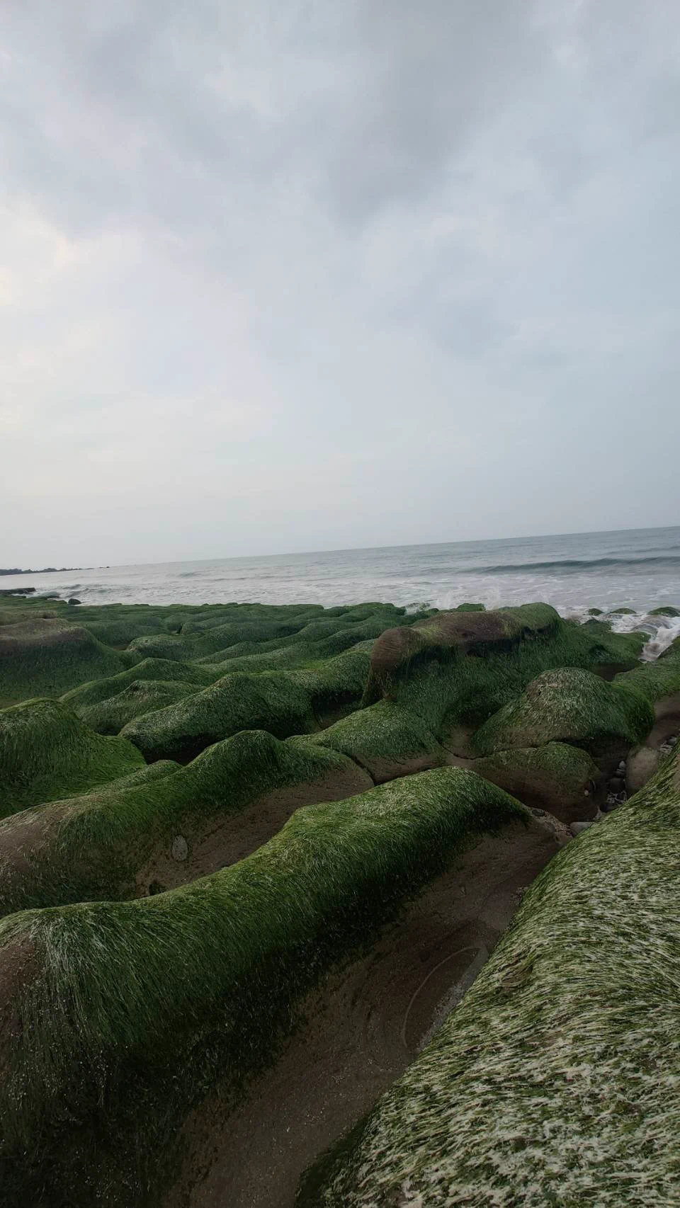 跟朋友出遊北海岸一日遊上午情人湖 走走步道中午海鮮餐廳吃到爆各種CP值高的海鮮 昶帝嶺海鮮餐廳很棒下午老梅石槽海風吹到爆充實的一天人數眾多的一天很熱的一天 https://t.co/8oyj7fVepG