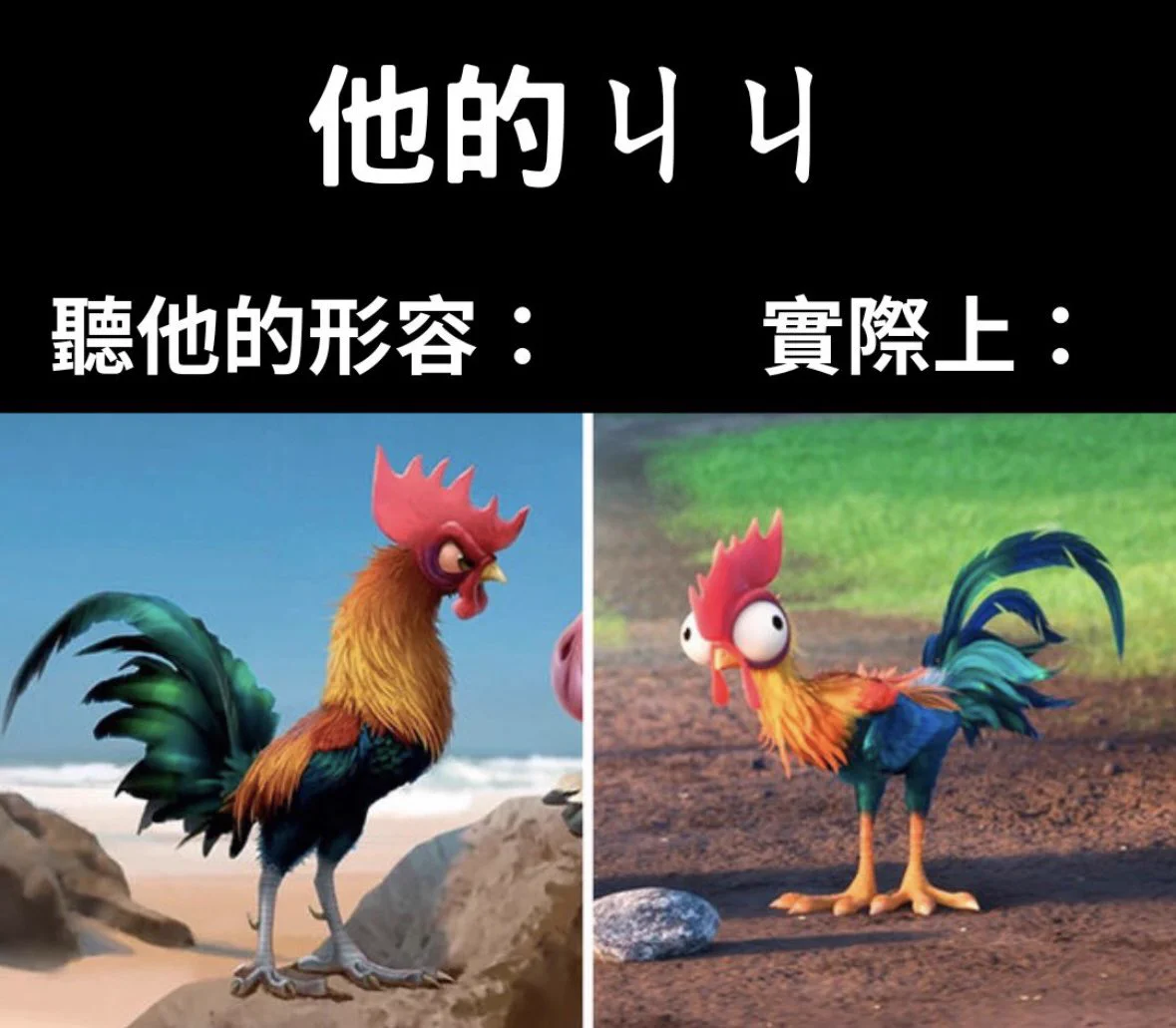 睡不著打算直接出門辦事情順便去市場買個菜的我突然想起…週一市場休息🌝乾#把逛市場當休閒行程的奇怪女人 https://t.co/eEtVOHxKTx