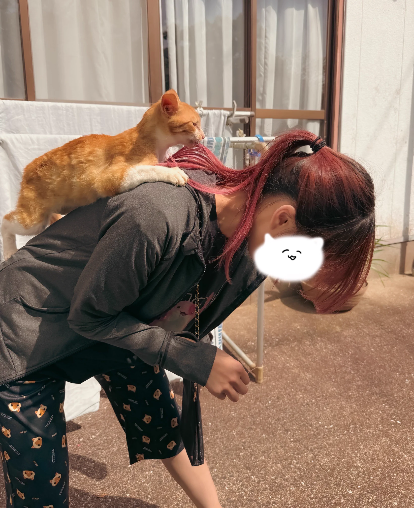 オトモアイルー🐱 https://t.co/WWDd3xLFlw