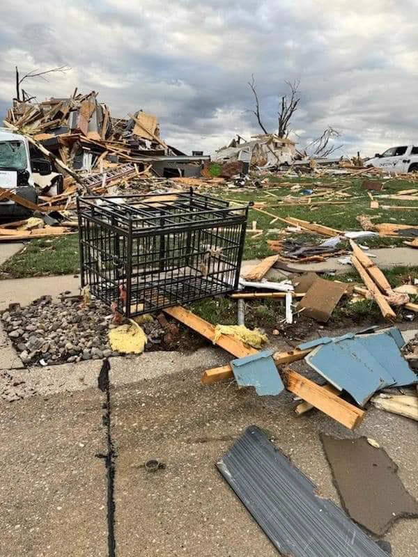This is Zeus. He miraculously survived a tornado that tossed him across his neighborhood in his crate. When it tore through his town in Nebraska last week with maximum wind speeds of 165 miles per hour, Zeus was inside in his kennel. The sudden cyclone completely flattened their home, but Zeus' crate was found four blocks away with a broken door, and he was found two blocks away patiently waiting on a mattress for help. Rescuers believe the crate saved his life. The pup, who ironically shares a name with the Greek god of the sky, sustained only minor injuries: a scrape on his nose, a few torn toenails, and a sore hind leg. He's recuperating at a local boarding facility free of charge while his family works to rebuild their home. His caretakers say he's in great spirits despite everything he's been through. 14/10