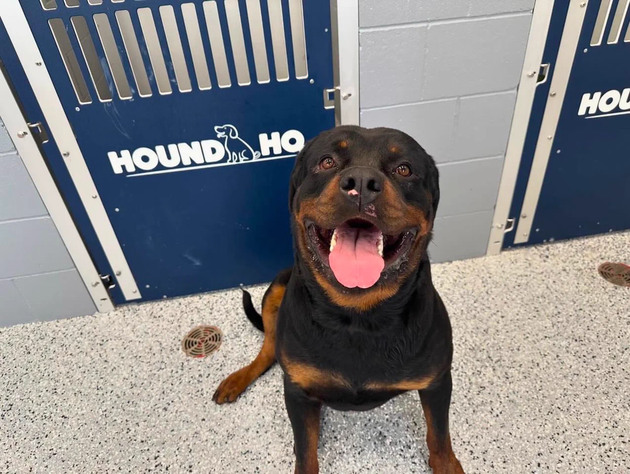 This is Zeus. He miraculously survived a tornado that tossed him across his neighborhood in his crate. When it tore through his town in Nebraska last week with maximum wind speeds of 165 miles per hour, Zeus was inside in his kennel. The sudden cyclone completely flattened their home, but Zeus' crate was found four blocks away with a broken door, and he was found two blocks away patiently waiting on a mattress for help. Rescuers believe the crate saved his life. The pup, who ironically shares a name with the Greek god of the sky, sustained only minor injuries: a scrape on his nose, a few torn toenails, and a sore hind leg. He's recuperating at a local boarding facility free of charge while his family works to rebuild their home. His caretakers say he's in great spirits despite everything he's been through. 14/10