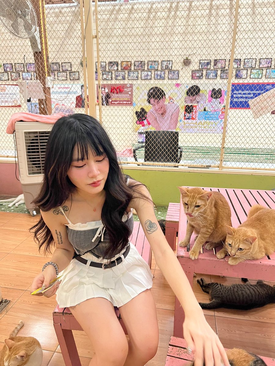 น้อนๆที่นี่น่ารักมาก🩷

พีชได้นำเงินที่ได้ทิปและค่าเอ็นดูเล็กๆน้อยๆจากลูกค้ามาซื้ออาหารสัตว์ทั้งหมดนี้ราคาประมาน3500นิดๆค่า🙏🏻🙏🏻 https://t.co/NLt4VFD8y3
