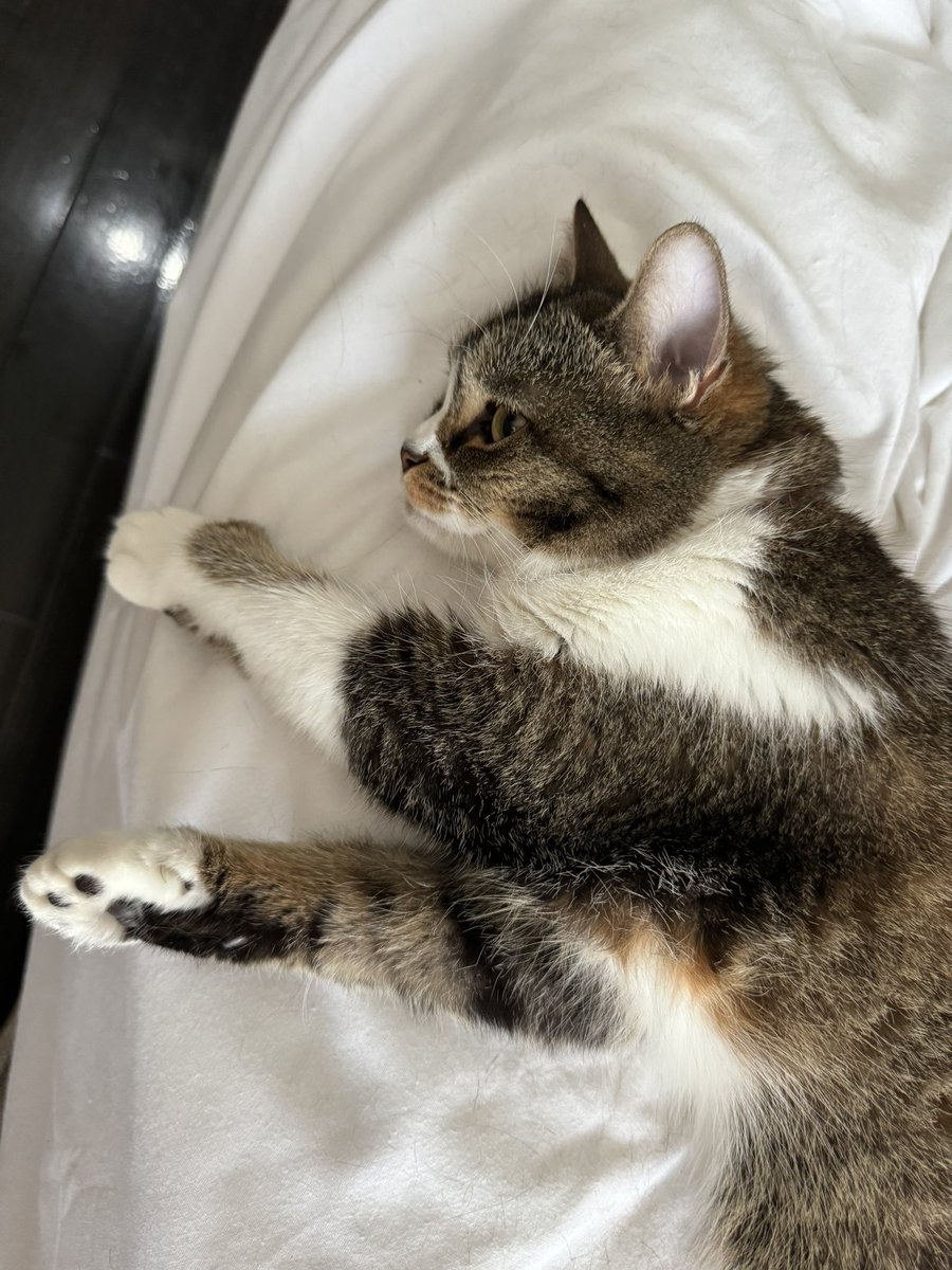 おそごま https://t.co/DCr4nimQti