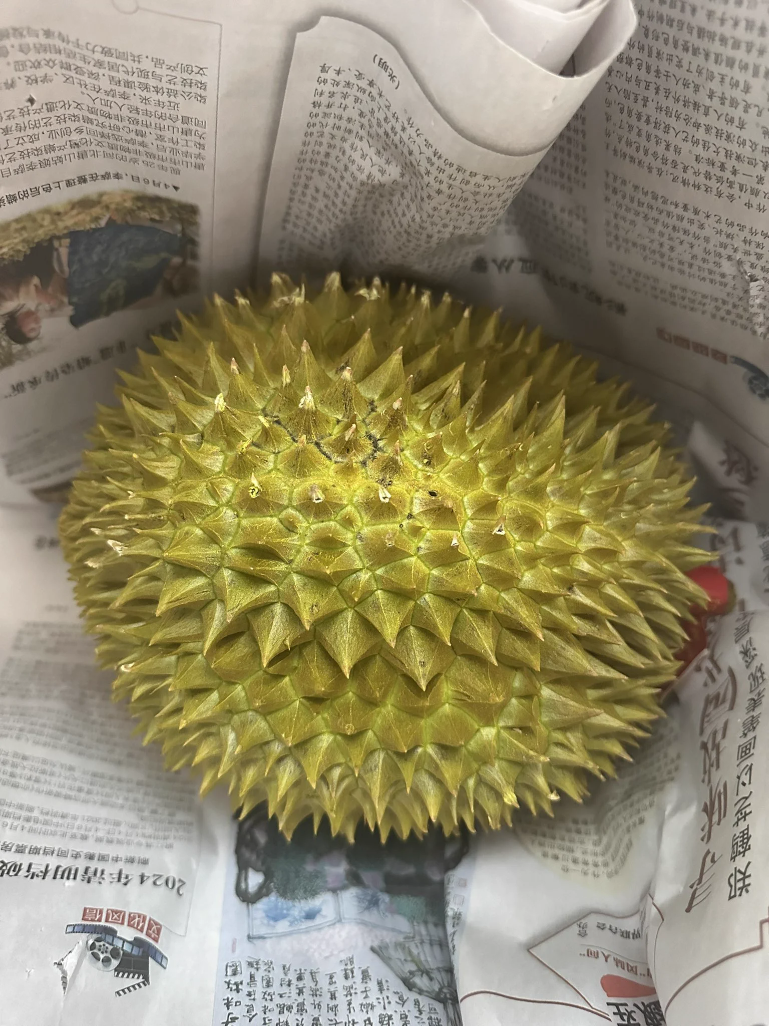 嘻嘻，我的最爱！ https://t.co/8upUodsrLe