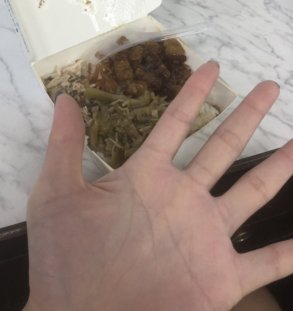 昨天晚上吃ㄉ綜合飯
（雞絲+肉燥）

比我整個手還小這樣55
我是上好美盤ㄇ😔 https://t.co/xSSzvnsqOx